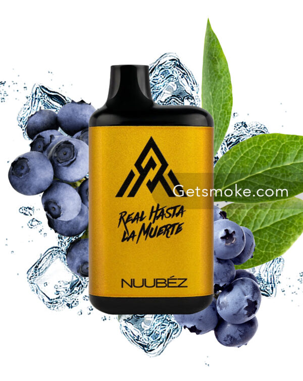 Blueberry Ice Nuubez RHLM 5000
